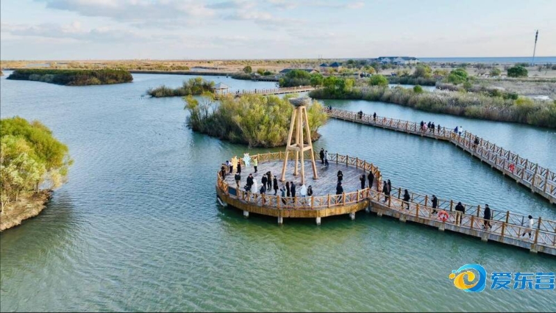 不及时做出 不及时做出